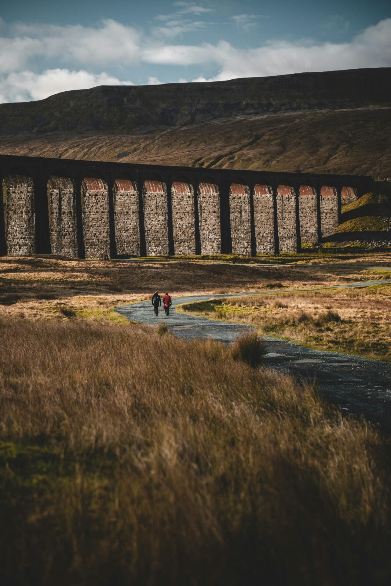 Photo by Illiya Vjestica on Unsplash