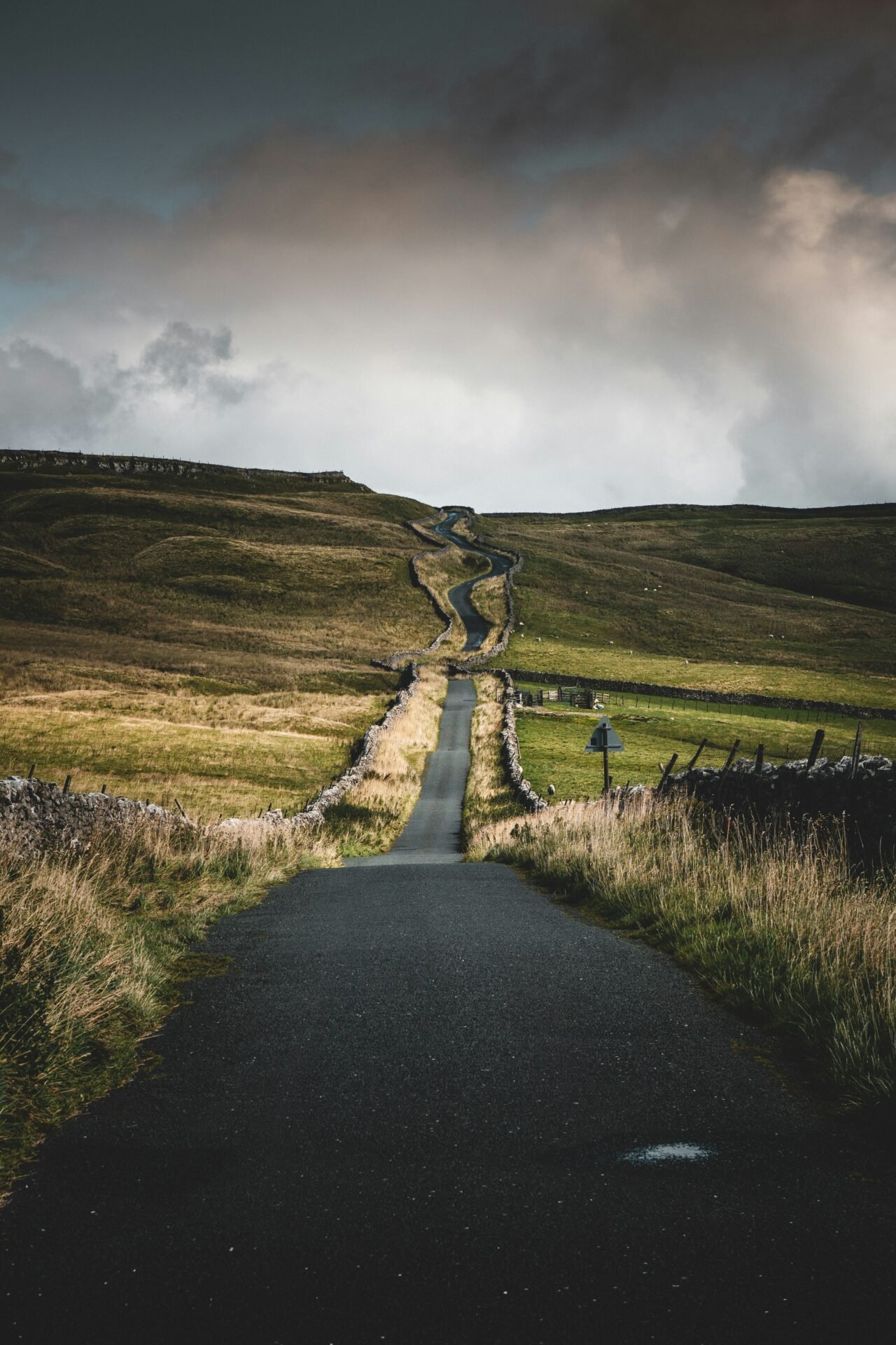 Photo by Illiya Vjestica on Unsplash